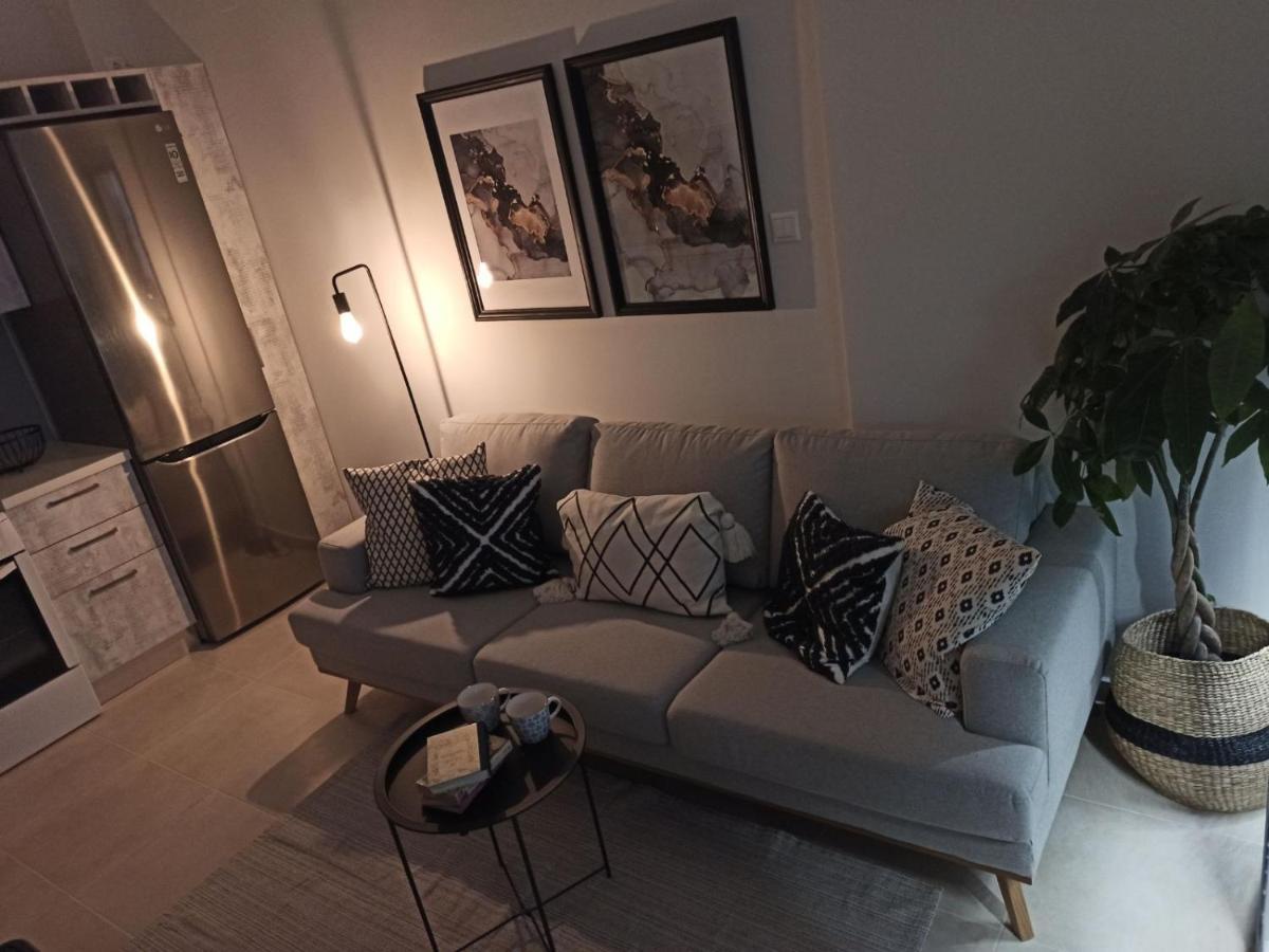 Stylish Ground Floor Maisonette Volos Exterior photo